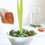 salad plant impressie