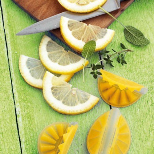citroenpers Lemonfriend 4 stuks