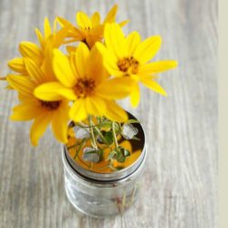 HappyTappi deksel voor bloemen + 500 ml pot