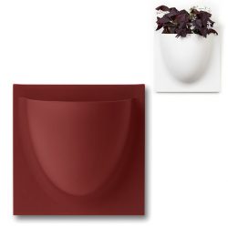 vertiplants mini robijn rood 15 x 15 cm