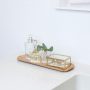 Countertop tray Curveline wilgenhout badkamer impressie sieradenkistje